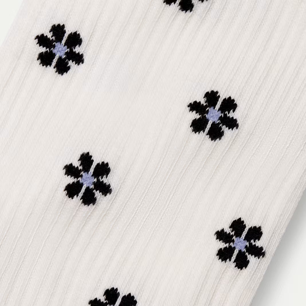 Women's Modern Rib Half Calf Sock 4-Pack
