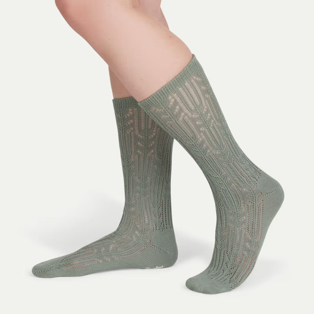 Women's Pointelle Calf Sock 3-Pack